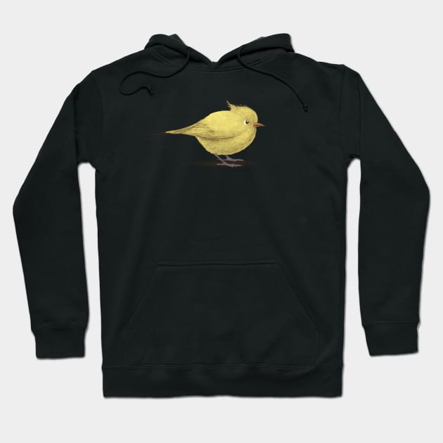 Yellow Bird Hoodie by Terry Fan